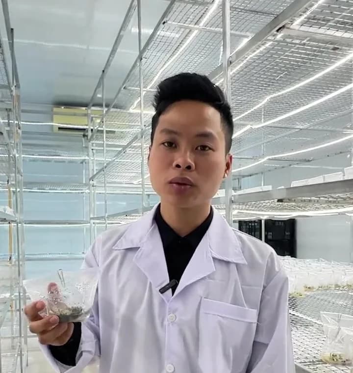 Anh Thành mặc áo blouse trắng trong phòng nuôi cấy mô cây giống chuối