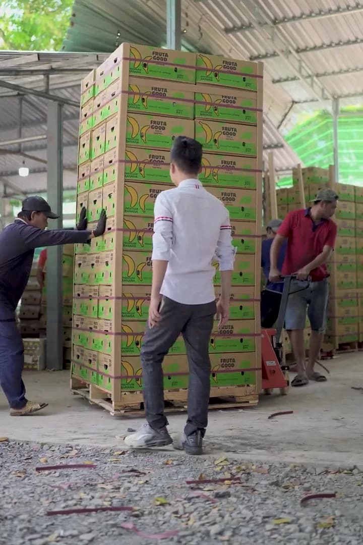 Pallet thùng chuối xuất khẩu xếp cao trong kho, sẵn sàng đóng container
